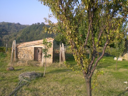 Apri il file originale