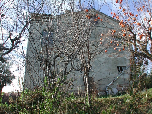Apri il file originale
