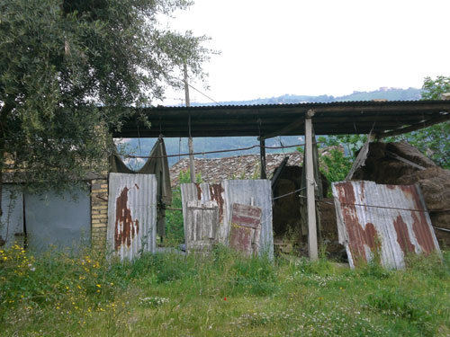 Apri il file originale