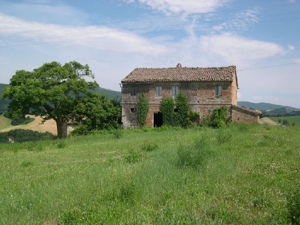 Apri il file originale