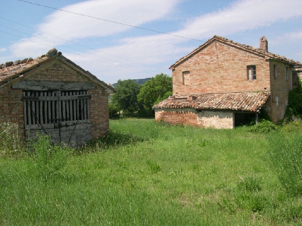Apri il file originale