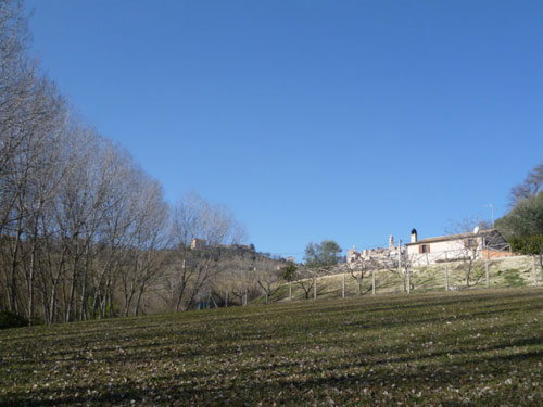 Apri il file originale