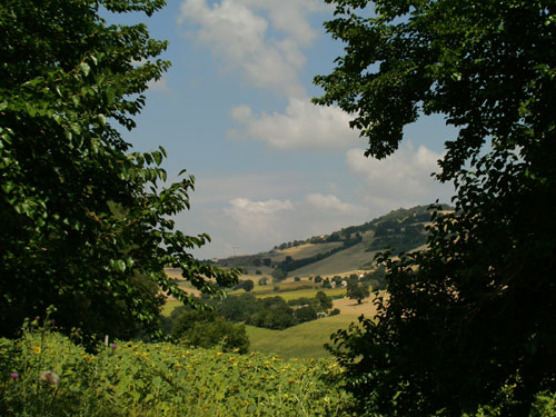 Apri il file originale