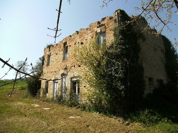 Apri il file originale