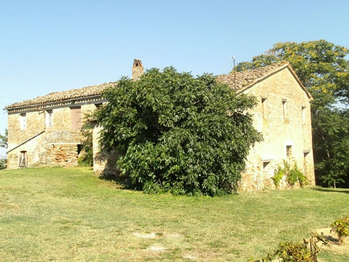 Apri il file originale