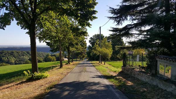 Apri il file originale