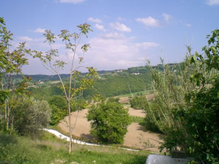 Apri il file originale